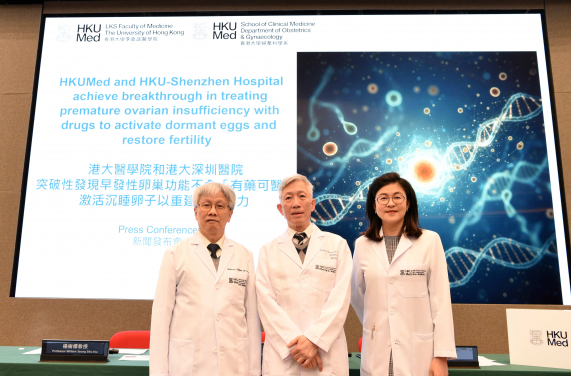 HKUMed reveals that using drugs to treat POI by awakening dormant eggs and facilitating their development into usable antral follicles, is a key breakthrough in restoring fertility (from left: Professor William Yeung Shu-biu, Professor Ernest Ng Hung-yu and Dr Wang Tianren).